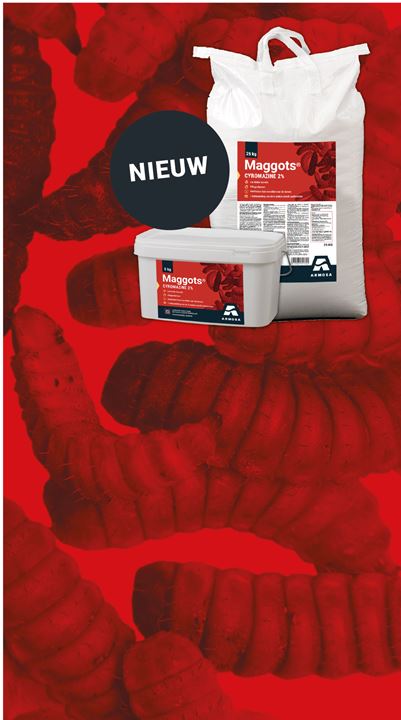 NIEUW: Maggots, remt de ontwikkeling van larven zodat deze niet uitgroeien tot volwassen vlieg.