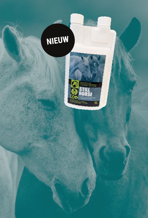 NIEUW: Still Horse, de enige Pour-On met vliegdodende werking. Voor toepassing op paarden.