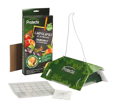 Pruimenmot Kit Feromoonval