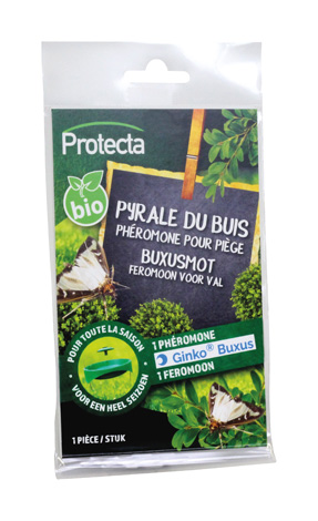 Ginko Buxus feromoon voor val