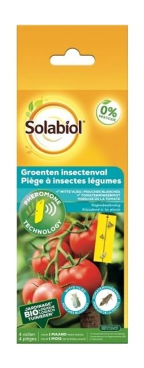 Natuurlijke oplossing voor het aantrekken en vangen van de witte vlieg en tomatenmineermot.