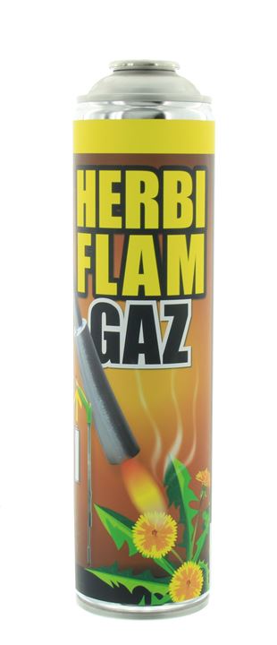 Gasfles 600 ml voor Herbiflamm en andere onkruidbranders. Met schroefdraad, 30% propaan en 70% butaan.