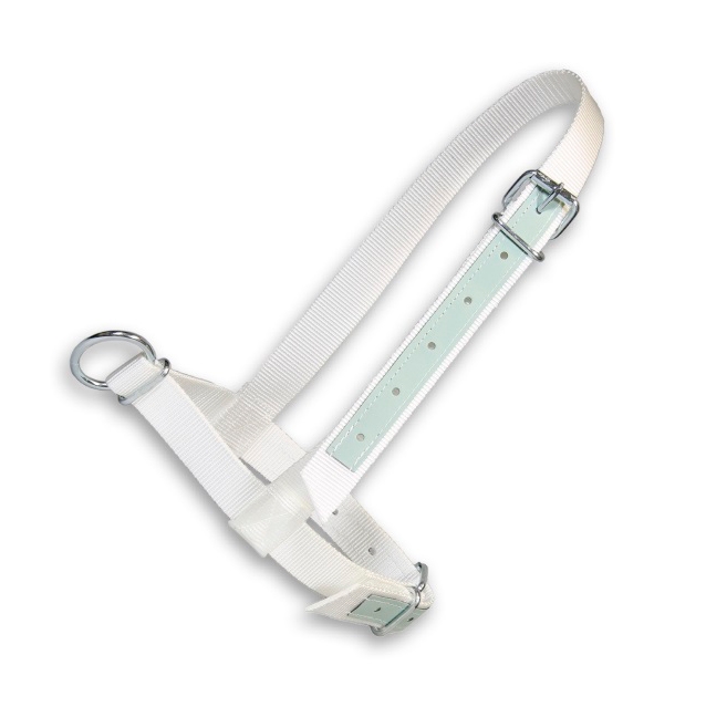 Halster show koe, wit met leer, 40mm