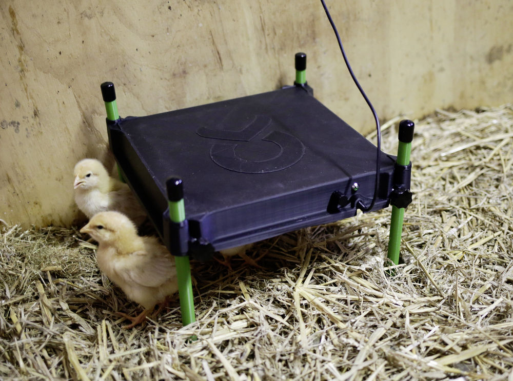 Verwarmingsplaat voor kuikens 30x30cm.