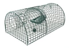 Rattenvangkooi Multirat, 40x24x18cm
