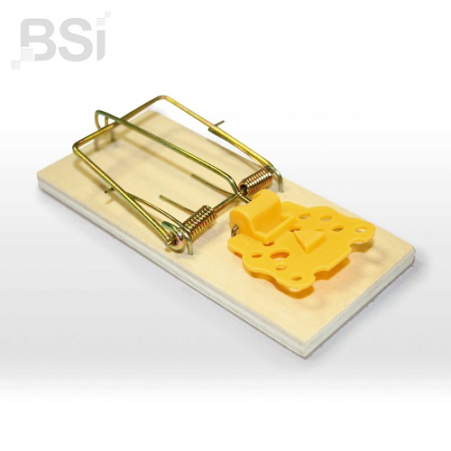 Muizenval verbeterde klassiek, 2st