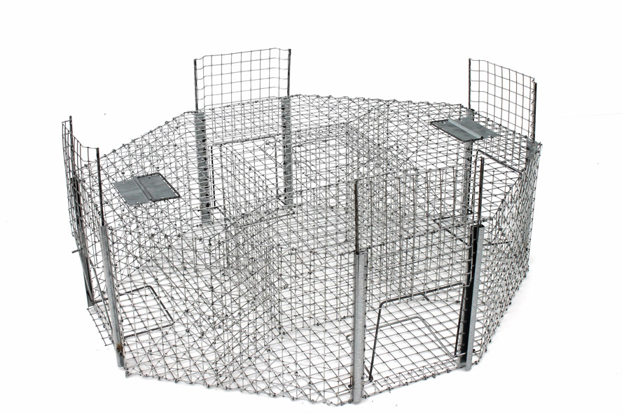 Vangkooi vogel, 4 kamers 102x30