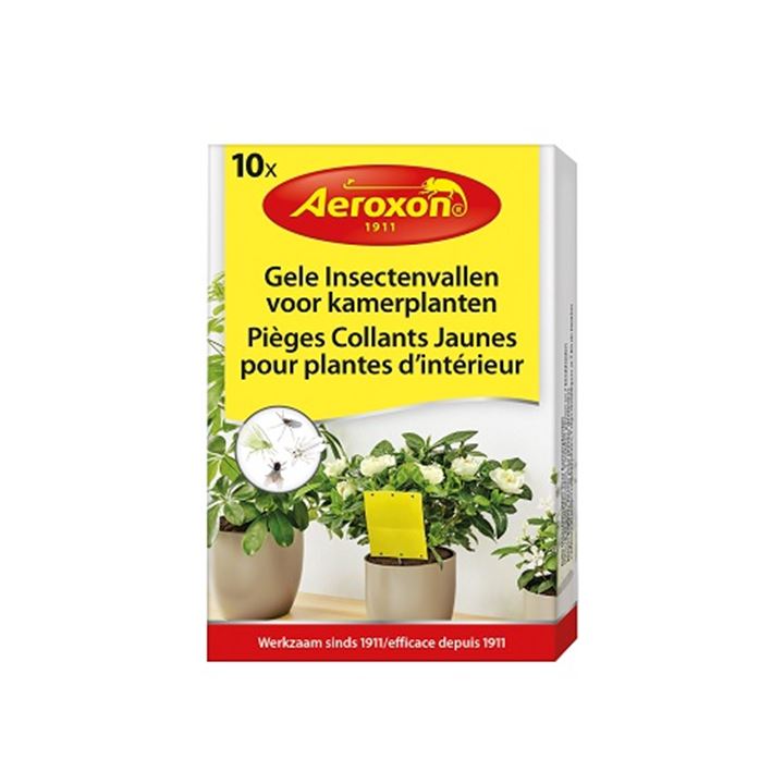Gele insectenvallen voor kamerplanten.