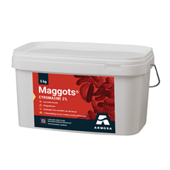 Maggots 5 KG NL