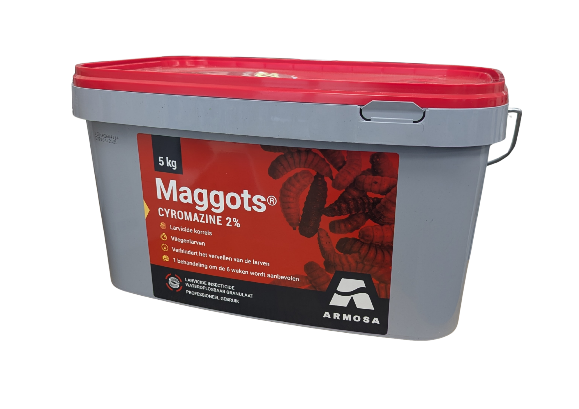 Maggots 5 KG NL