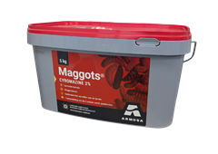 Maggots 5 KG NL
