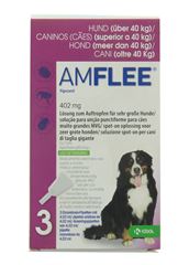 Amflee Hond X-large > 40kg, 3x402mg