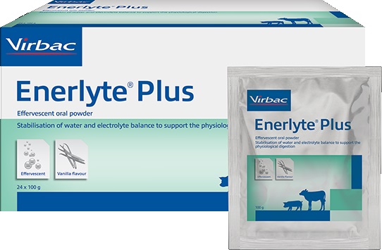 Enerlyte Plus 24x100g + gratis emmer
