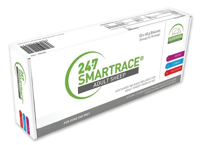 Smartrace Adult Sheep Bolus 50pcs