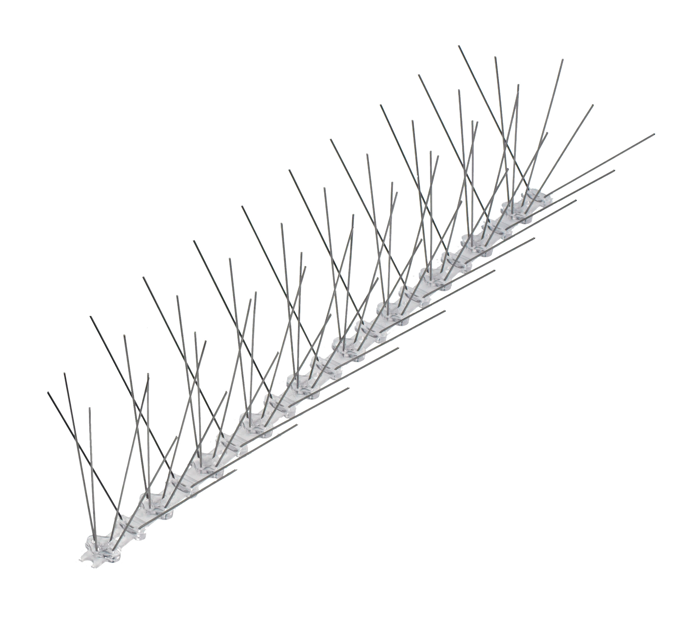 Ecobird 311, 80pins/M, 155mm x 50cm