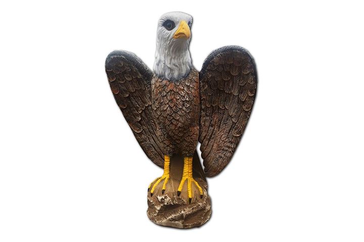 Gevleugelde arend met draailager en vogelkreten.