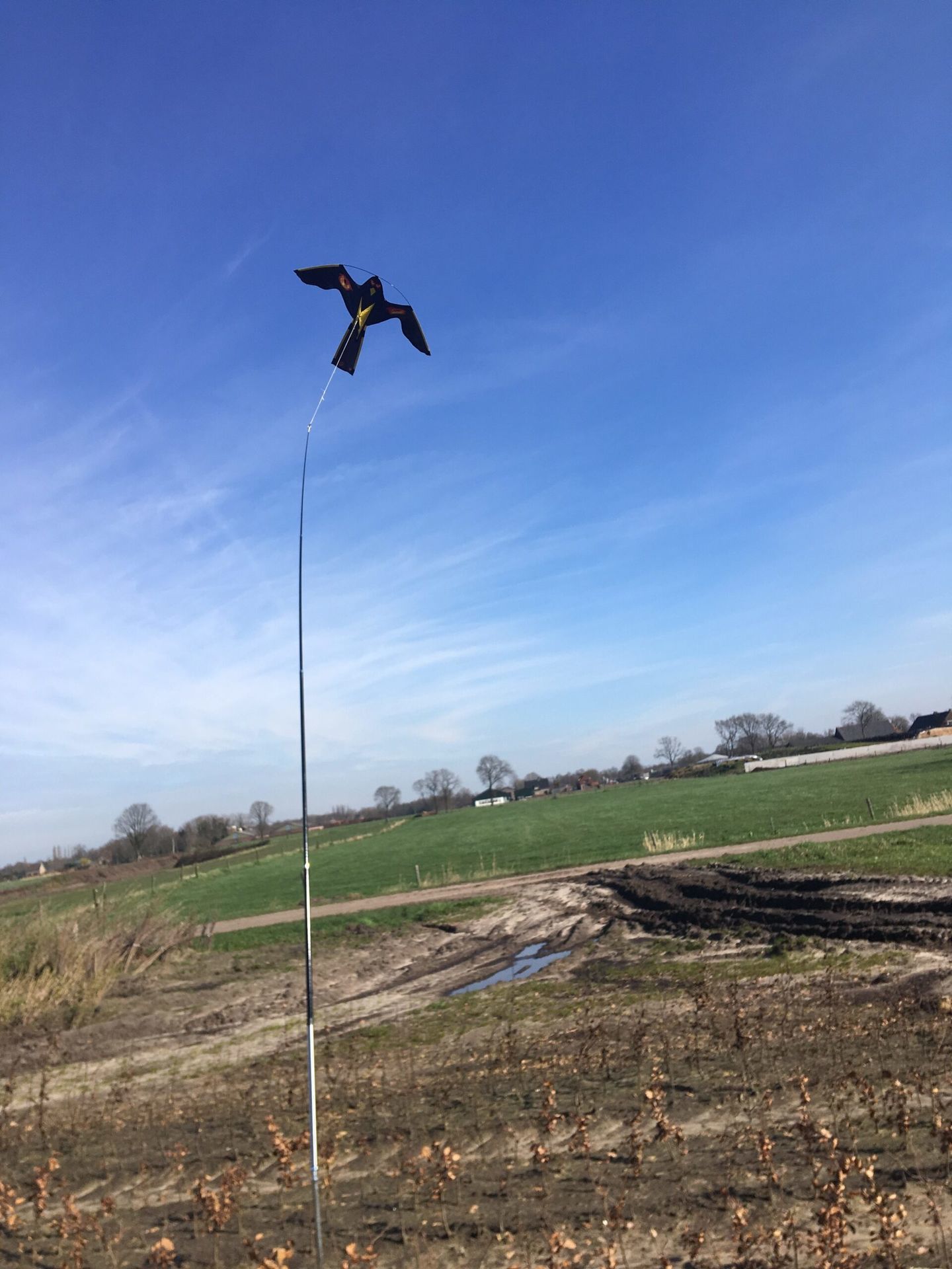 BIRD SCARING KITE MET DRAAIVOET 4METER