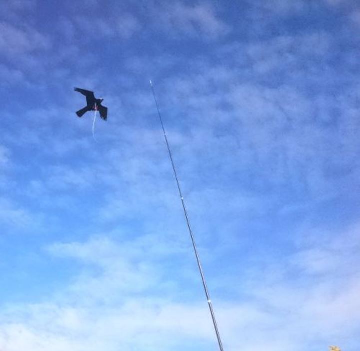Voor het verjagen van vogels.