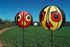 Hawkeyes vogelverschrikker