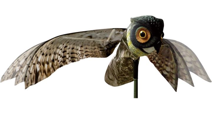 Replica van Amerikaanse Oehoe, een uil die niet kieskeurig is en waarvan vele vogels en dieren onder de indruk zijn.