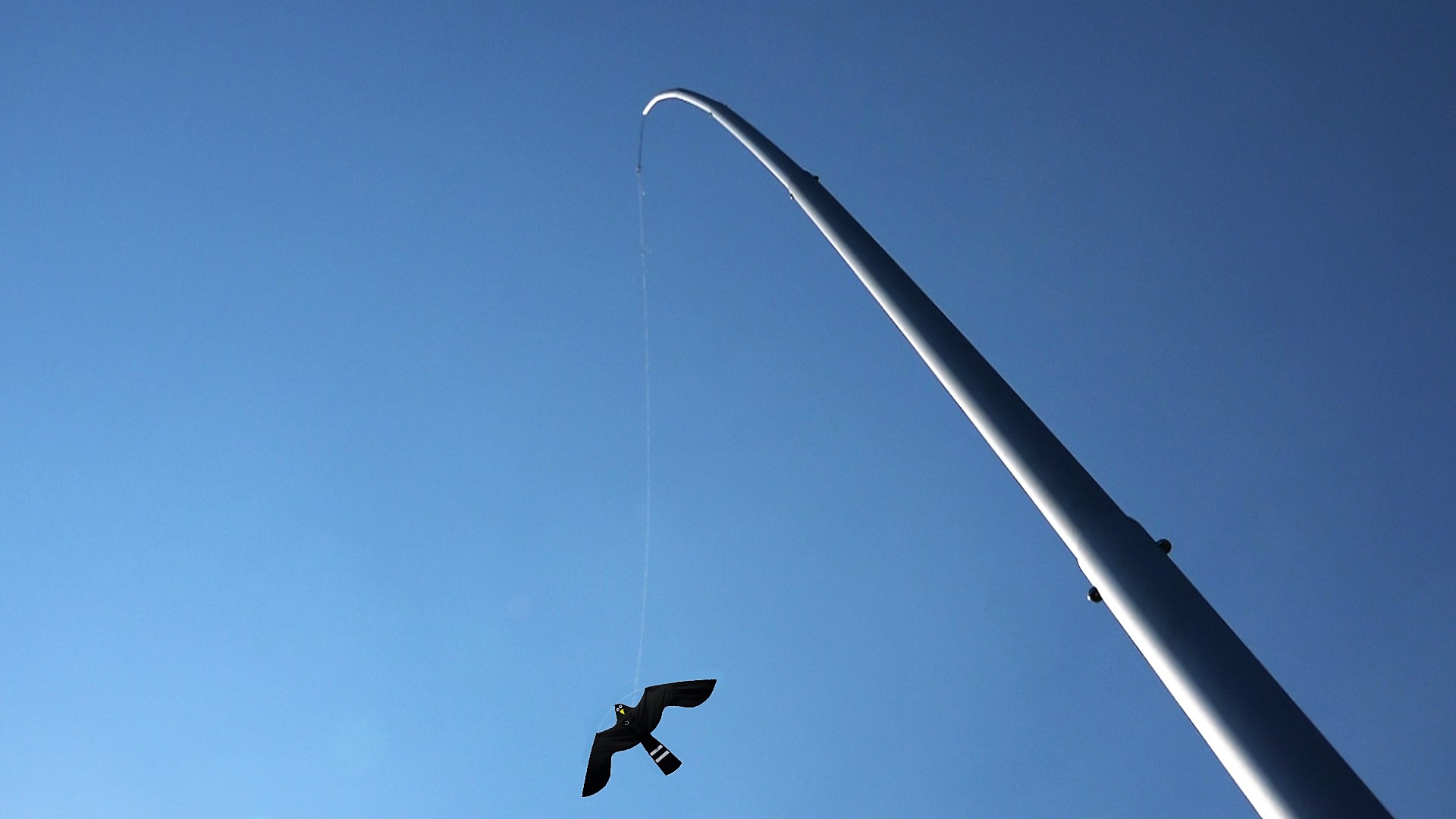Aluminium mast van 13,5 meter waaraan de Black Hawk Kite kan worden gemonteerd voor het op afstand houden van de vogels. De mast is bestand tegen hogere windsnelheden.