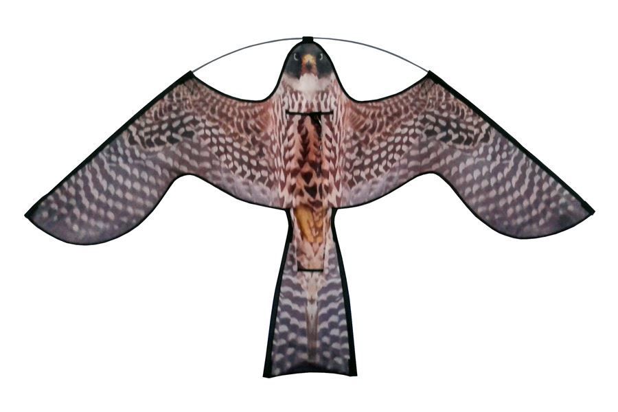 Terror Kite losse vlieger