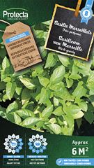 Basilicum Geurig van Marseille