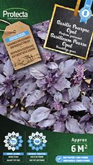 Basilicum Paarse Opal