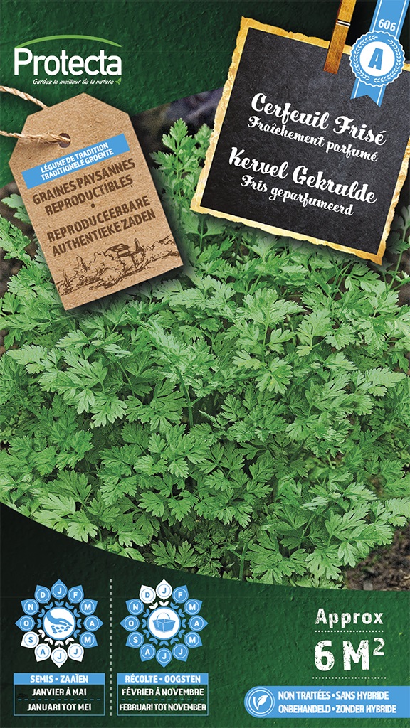 Kervel Gekrulde