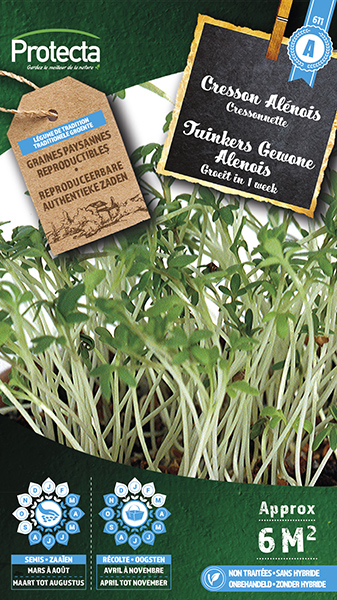 Tuinkers Gewone Alenois  nr. 611