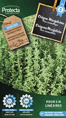 Origano Marjolein