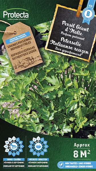 Peterselie Italiaanse reuzen nr. 616