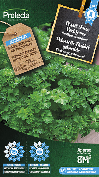 Peterselie Dubbel gekrulde nr. 617