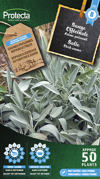 Salie  nr. 622