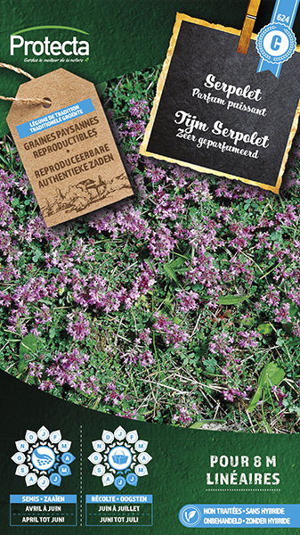 Tijm "Serpolet" nr. 624