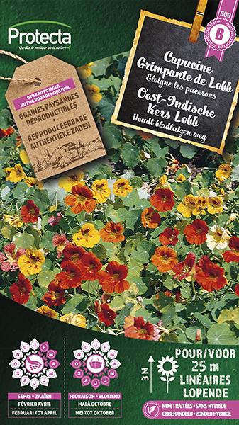 Oost-Indische Kers Lobb gemengd