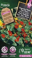 Oost-Indische kers Tom-Pouce Gemengd