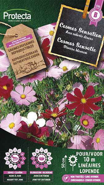 Cosmos Sensatie Gemengd