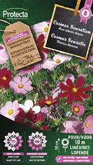 Cosmos Sensatie Gemengd
