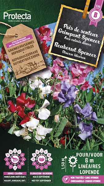 Reukerwt Spencer Gemengd nr. 530