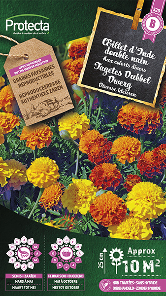 Tagetes Dubbel Dwerg gemengd nr. 520