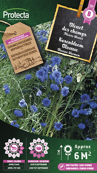 Korenbloem Blauwe nr. 502