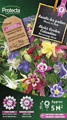 Akelei Garden Columbine