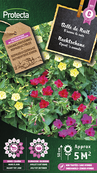 Nachtschone gemengd nr. 805