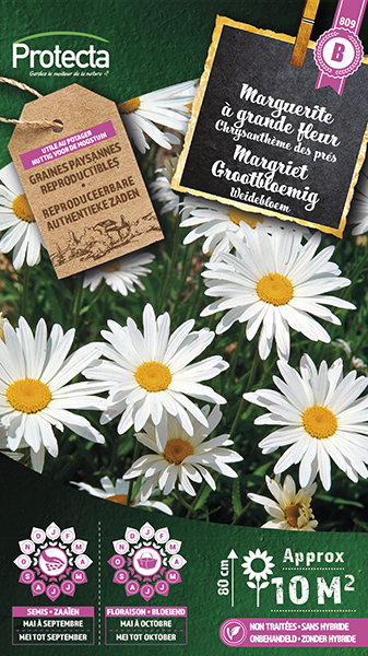 Margriet Grrotbloemig nr. 809