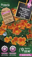 Eschscholtzia Orange