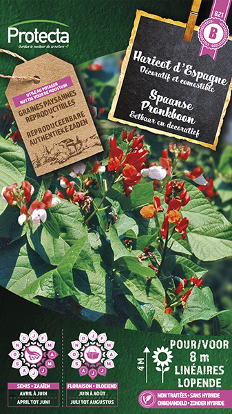 Spaanse Pronkboon nr. 821