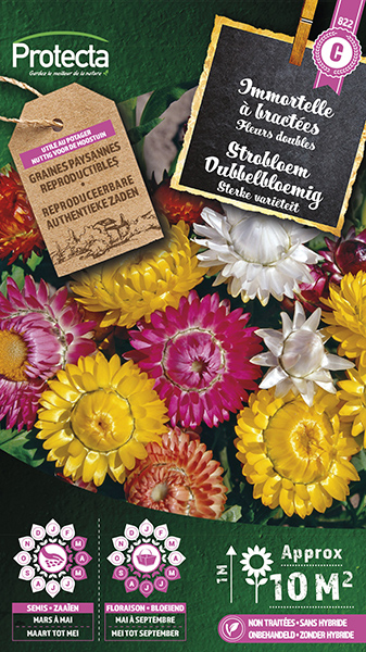 Strobloem Dubbelbloemig nr. 822