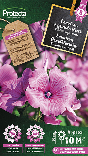 Lavatera Grootbloemig nr. 823