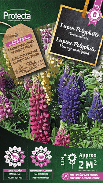 Lupine Doorlevend  nr. 826